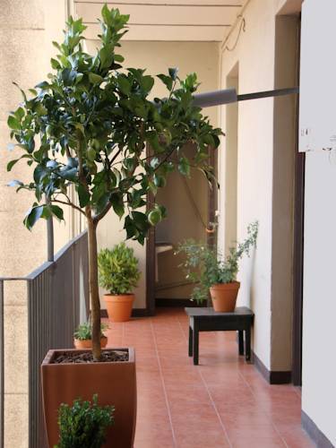Casa de hóspedes El Puchi